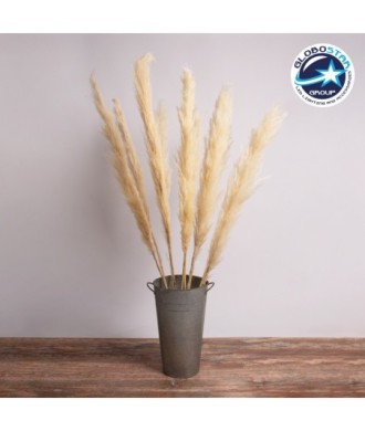 GloboStar® PAMPASGRASS 36510 Αποξηραμένο Φυτό Γρασίδι της Πάμπας - Μπουκέτο Διακοσμητικών Κλαδιών Μπεζ - Εκρού Υ150cm - Σετ 5 τμχ